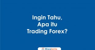 Ingin Tahu, Apa itu Trading Forex?