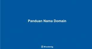 Contoh Nama Domain Yang Bagus