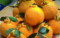 jeruk dekopon dalam pot