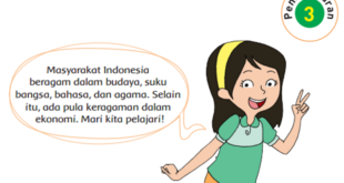 Jawaban Bacaan Keragaman Ekonomi di Indonesia