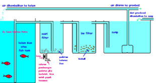 filter akuaponik