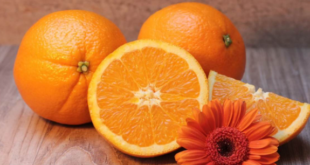kandungan nutrisi buah jeruk