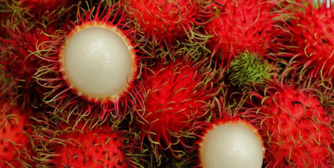 manfaat buah rambutan