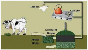 Mengapa kompor biogas kotoran sapi ramah lingkungan