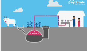 Manakah yang lebih hemat menggunakan gas LPG atau biogas kotoran sapi
