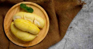 manfaat durian