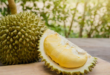 cara menanam durian