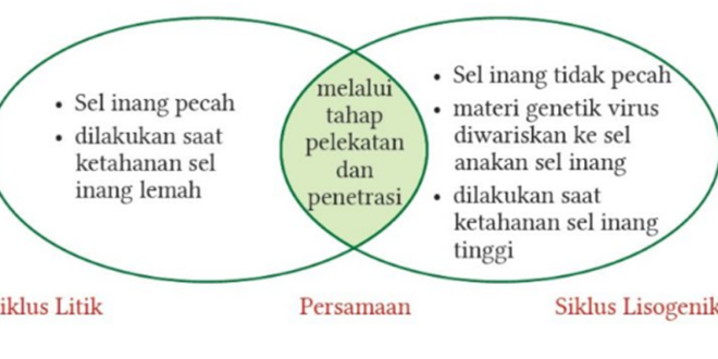 Kunci Ayo Berlatih halaman 39 dan 40 IPA SMA/SMK Kelas 10 Kurikulum Merdeka