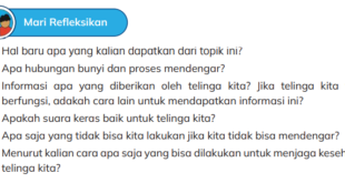 Apakah suara keras baik untuk telinga kita