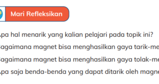 Bagaimana magnet bisa menghasilkan gaya tarik-menarik