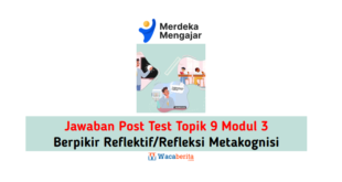 Jawaban Topik 9 Modul 3 Berpikir Reflektif/Refleksi Metakognisi (Post Test)