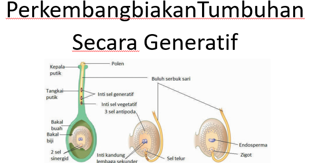 Materi Perkembangbiakan Generatif Tumbuhan Angiospermae