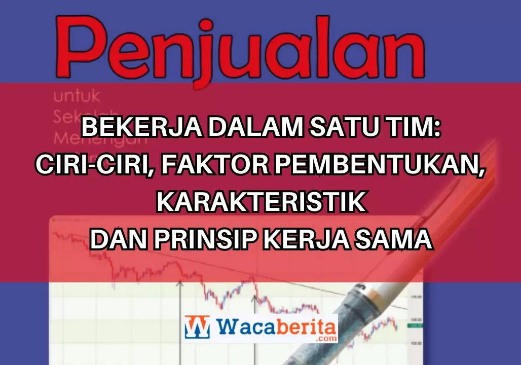 Bekerja dalam Satu Tim: Ciri-ciri, Faktor Pembentukan, Karakteristik dan Prinsip Kerja Sama
