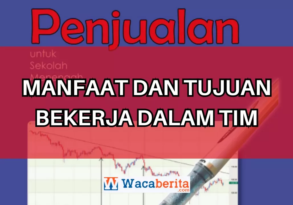 Manfaat dan Tujuan Bekerja dalam Tim
