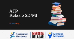 Alur Tujuan Pembelajaran (ATP) Kelas 3 Kurikulum Merdeka