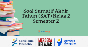 Soal Sumatif Akhir Tahun (SAT) Kelas 2 Semester 2