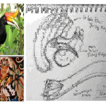 Contoh sketsa ide dari Burung Enggang menjadi selendang pelindung