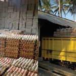 Kegiatan Logistik Telur Ayam