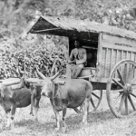 Perencanaan Usaha Produk Teknologi Transportasi dan Logistik