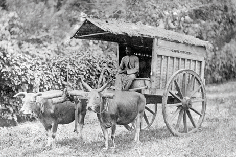 Perencanaan Usaha Produk Teknologi Transportasi dan Logistik